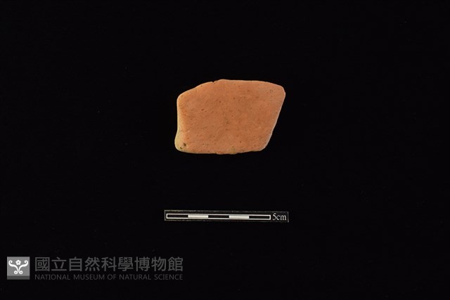 連杯藏品圖，第1張