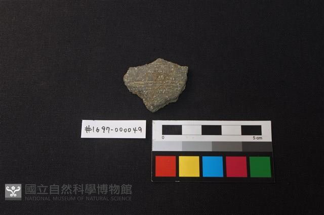 陶片藏品圖，第1張