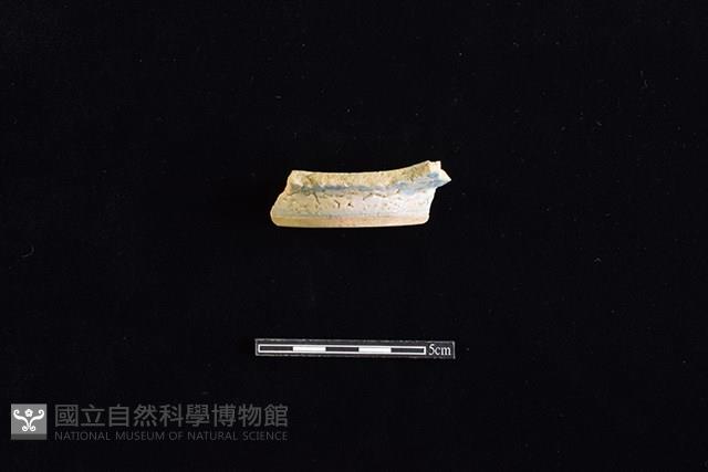 碗藏品圖，第1張