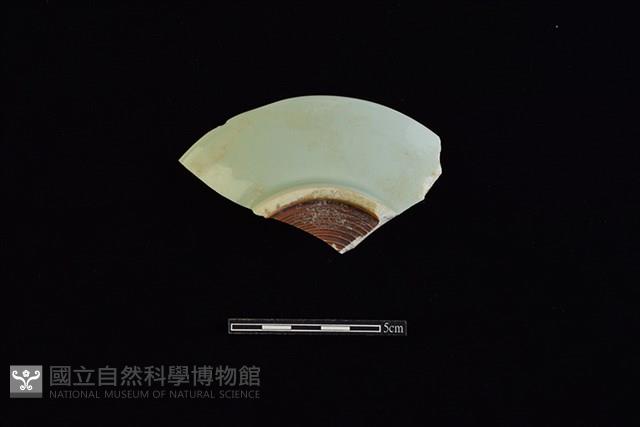 盤藏品圖，第1張