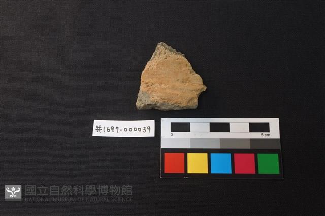 陶片藏品圖，第1張