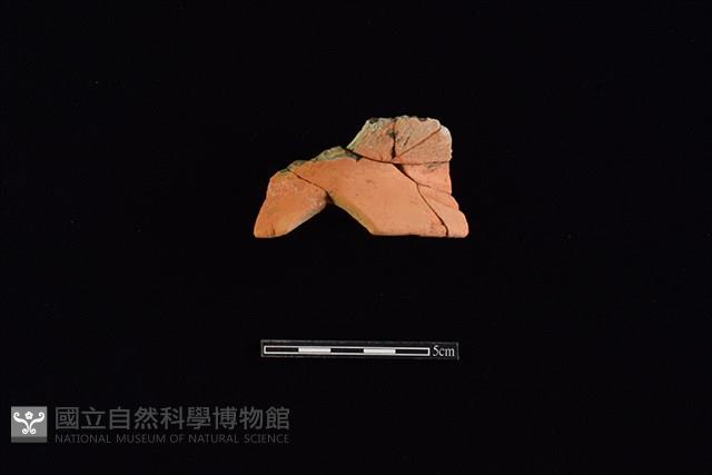 陶片藏品圖，第1張