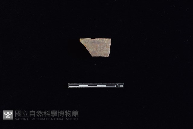 硬陶片藏品圖，第1張