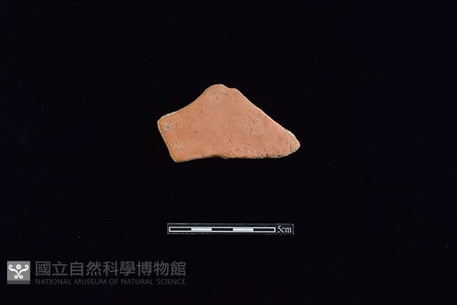 陶片藏品圖，第1張