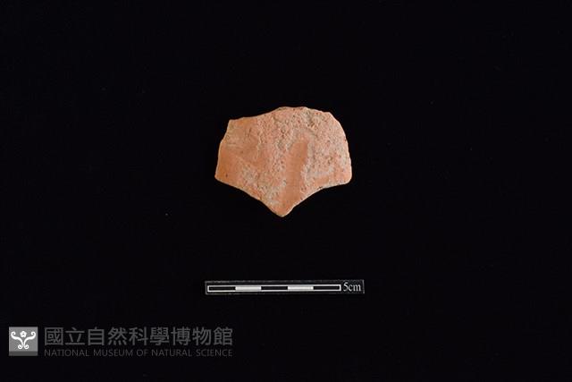 陶片藏品圖，第1張