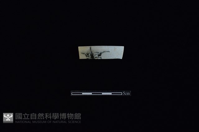 碗藏品圖，第1張