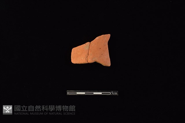陶片藏品圖，第1張