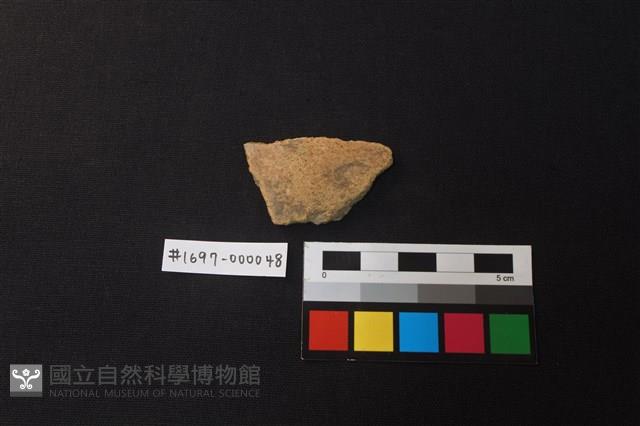 陶片藏品圖，第1張