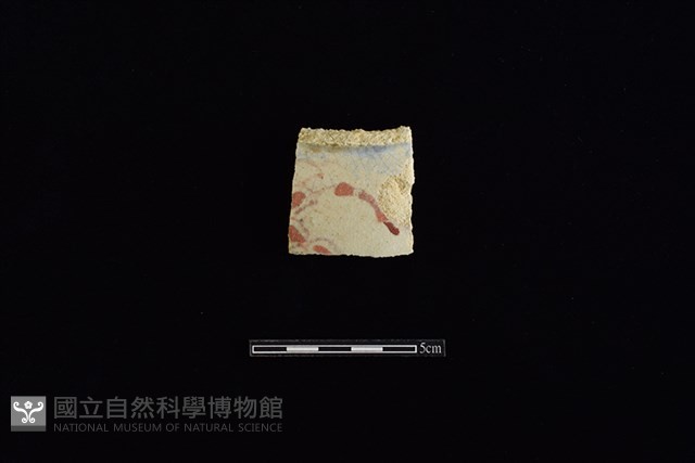 瓷片藏品圖，第1張