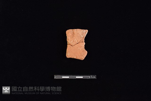陶片藏品圖，第1張