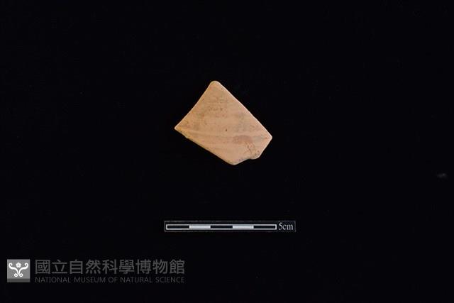 硬陶片藏品圖，第1張