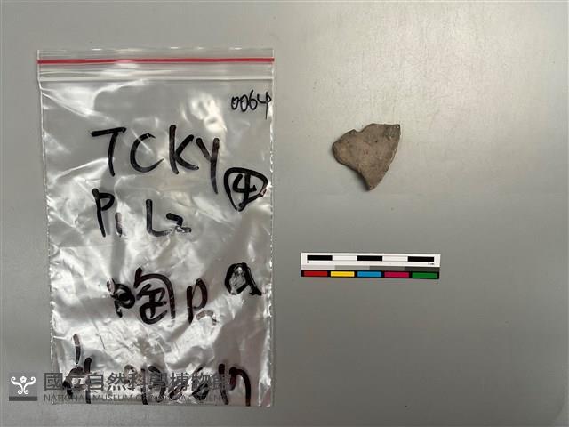 陶片藏品圖，第1張