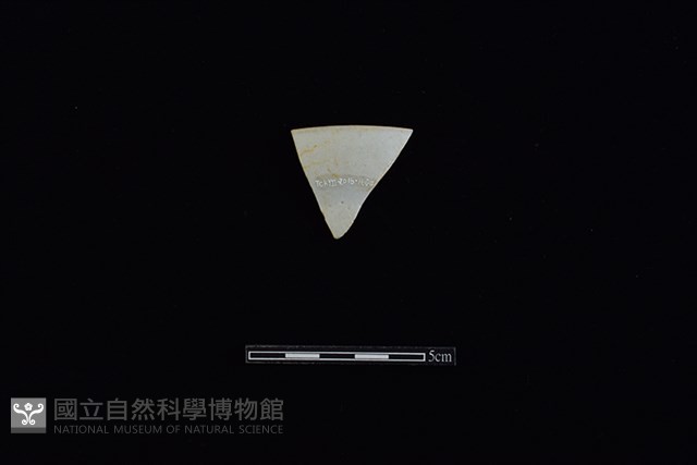 盤藏品圖，第1張