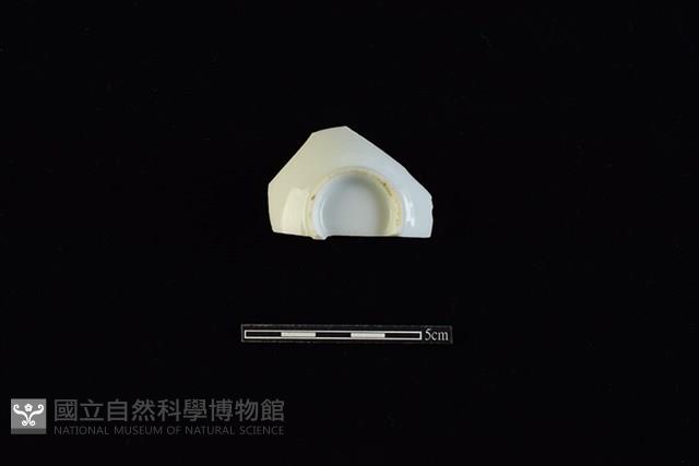 杯藏品圖，第1張