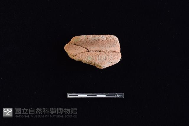 陶罐藏品圖，第1張