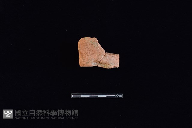 陶罐藏品圖，第1張