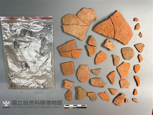 陶片藏品圖，第1張