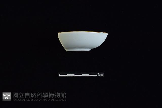 碟藏品圖，第1張