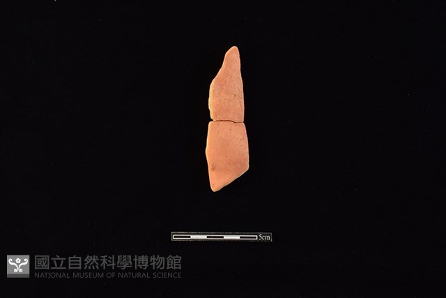 陶片藏品圖，第1張