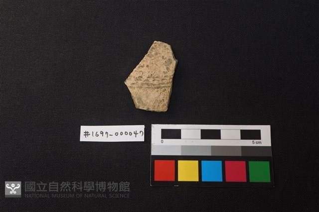 陶片藏品圖，第1張