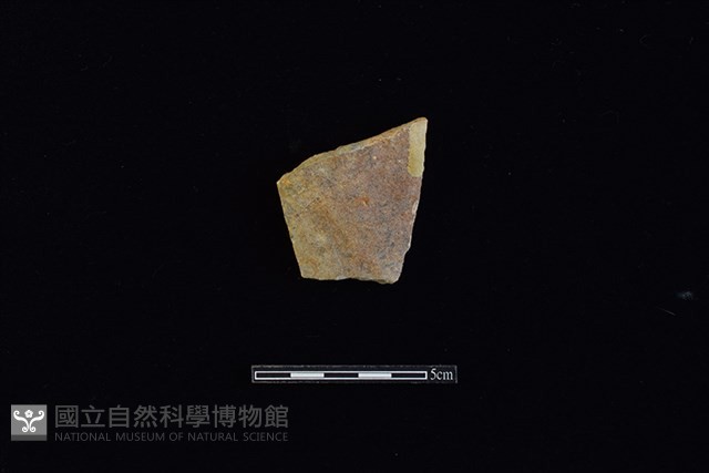 硬陶片藏品圖，第1張