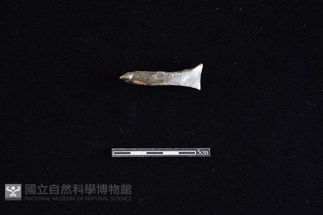 湯匙藏品圖，第1張