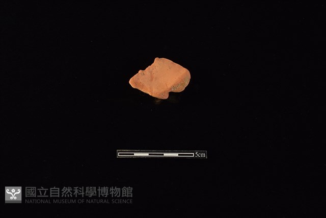 連杯藏品圖，第1張
