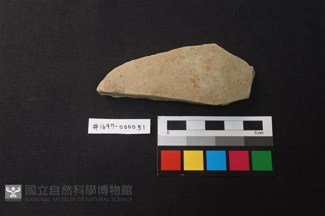 陶片藏品圖，第1張