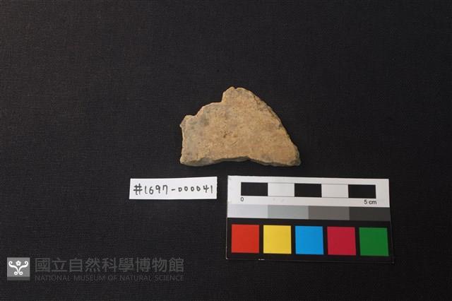 陶片藏品圖，第1張