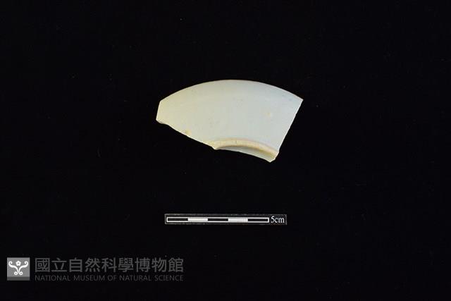 盤藏品圖，第1張