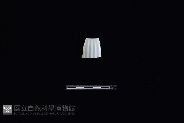 瓷片藏品圖，第1張