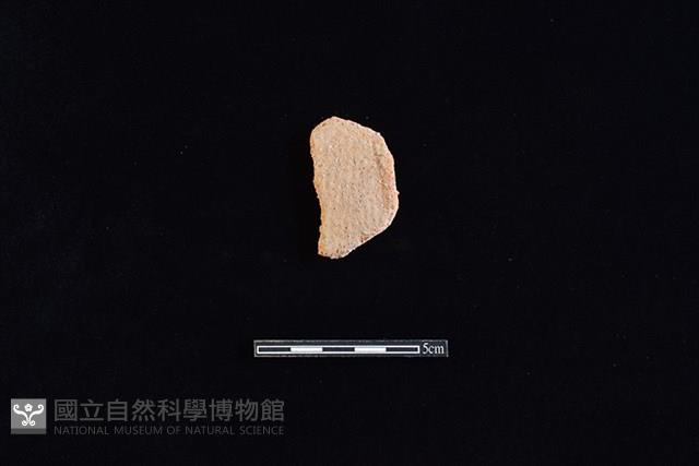 陶片藏品圖，第1張