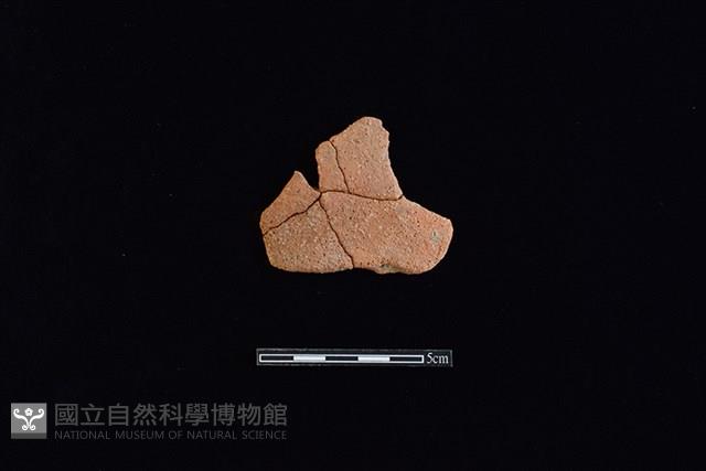 陶片藏品圖，第1張