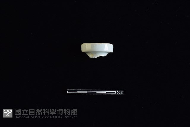 礙子藏品圖，第1張