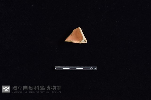 連杯藏品圖，第1張