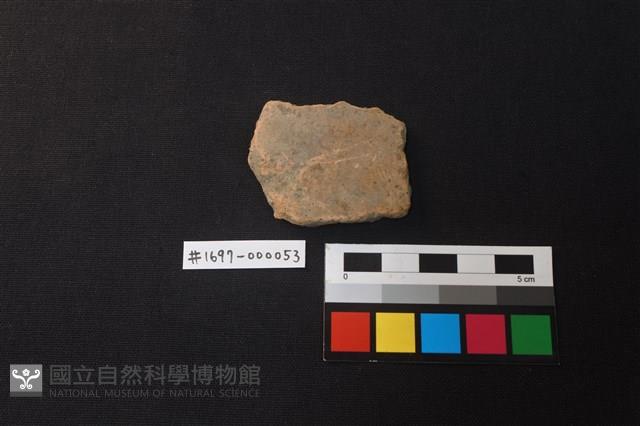 陶片藏品圖，第1張