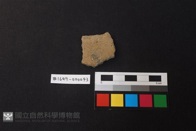 陶片藏品圖，第1張