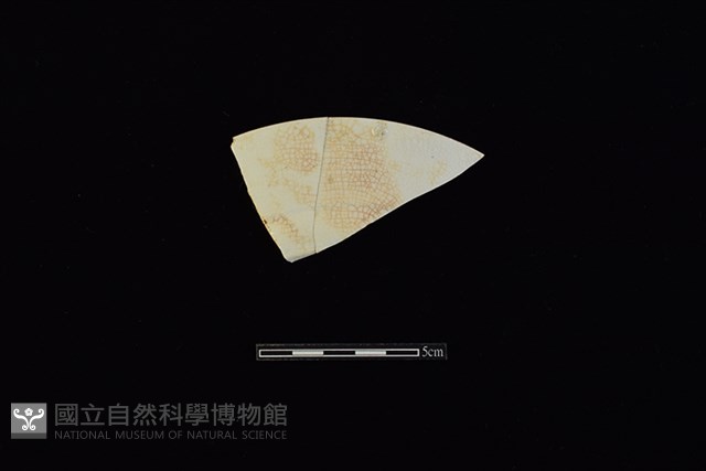 盤藏品圖，第1張