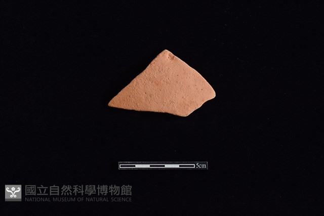 陶片藏品圖，第1張