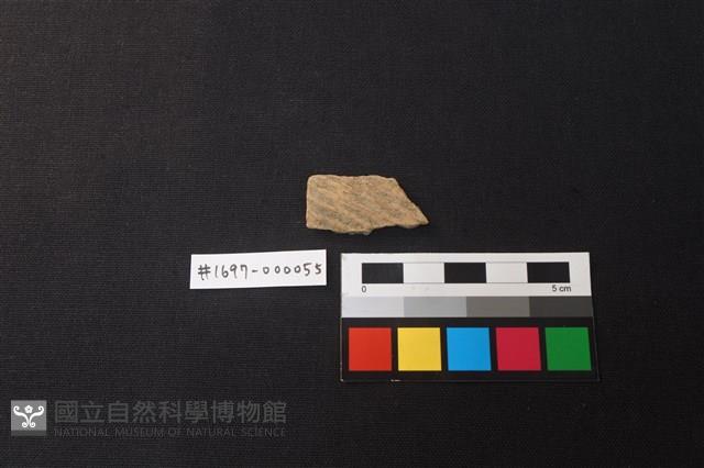 陶片藏品圖，第1張