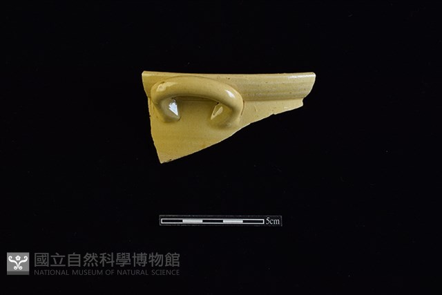 罐藏品圖，第1張