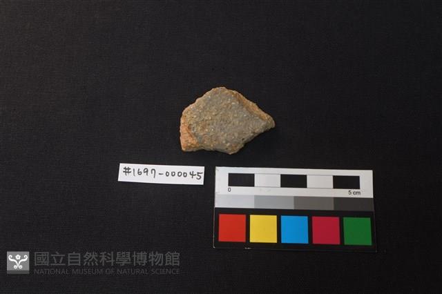 陶片藏品圖，第1張