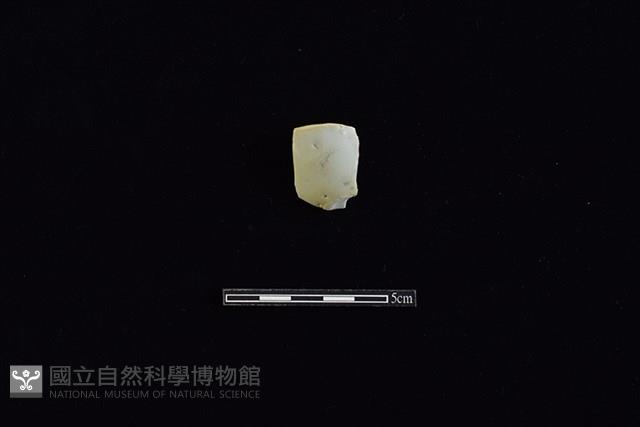 湯匙藏品圖，第1張