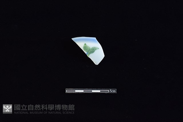 蓋藏品圖，第1張