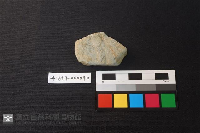 陶片藏品圖，第1張