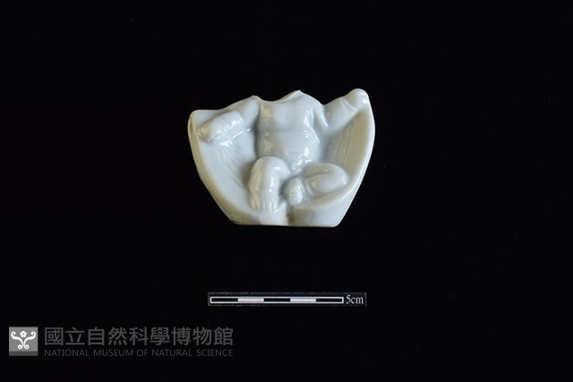 瓷玩具藏品圖，第1張