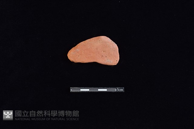 陶片藏品圖，第1張