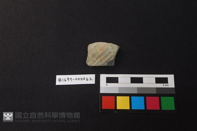 陶片藏品圖，第1張