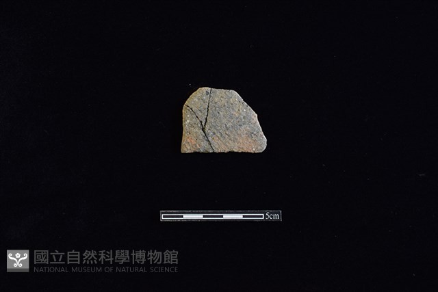 陶片藏品圖，第1張
