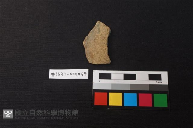 陶片藏品圖，第1張